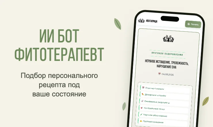 ИИ бот-фитотерапевт — подбирает рецепты для оздоровления