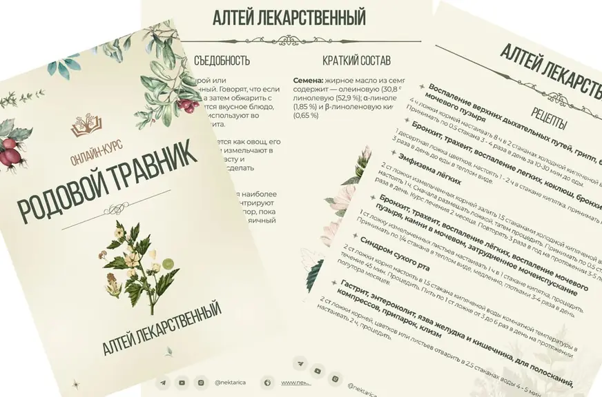 PDF-материалы курса