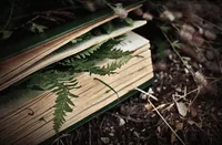 Старая книга с отпечатком листа папоротника — наследие рода