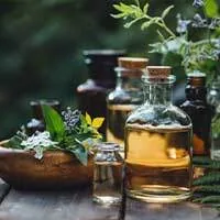 Стеклянные флаконы с настойками и свежие травы на деревянном столе
